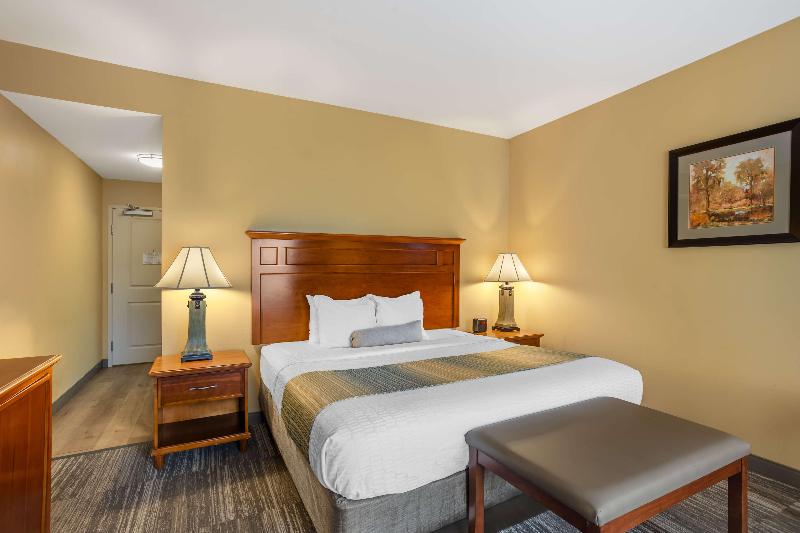 Best Western Plus University Park Inn & Suites image