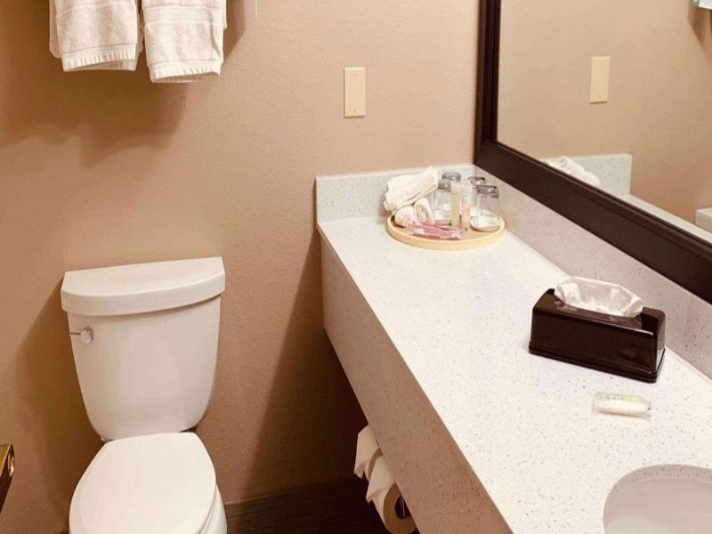 Comfort Suites Plano East – Richardson image