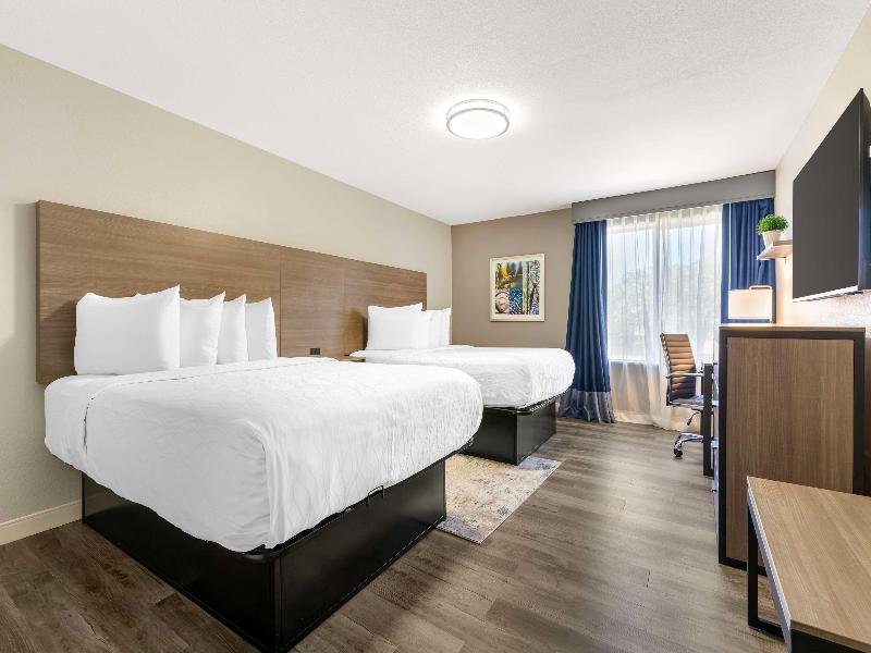 Best Western Plus Lewisville Flower Mound image