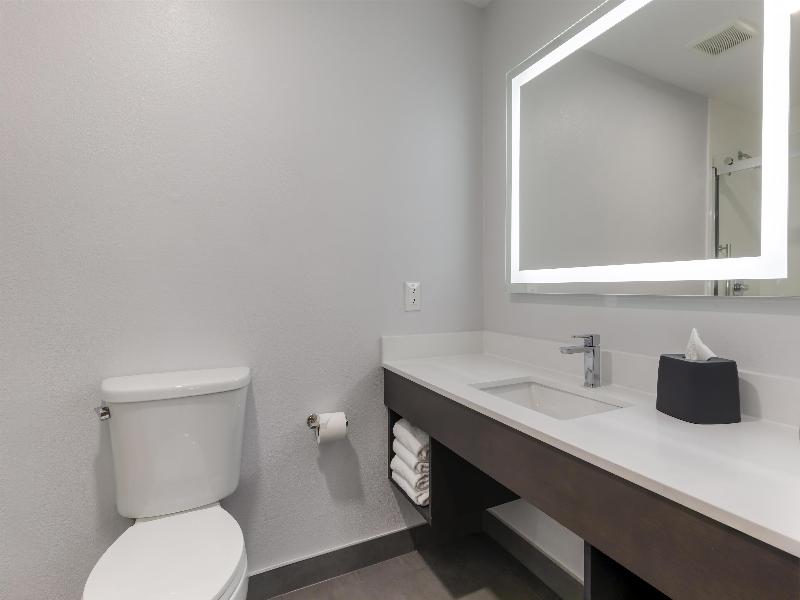Best Western Plus Lewisville Flower Mound image