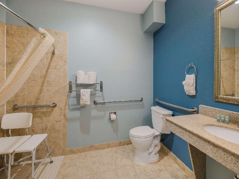 Best Western South Plains Inn & Suites image
