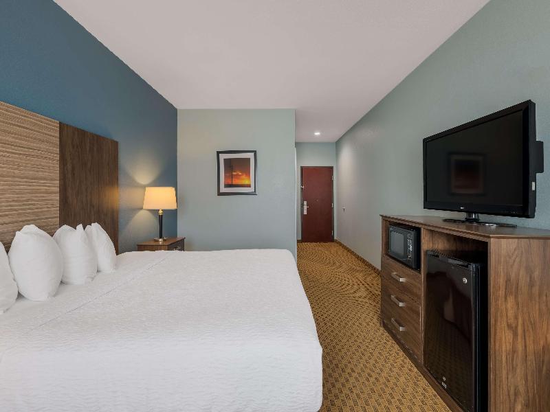 Best Western South Plains Inn & Suites image
