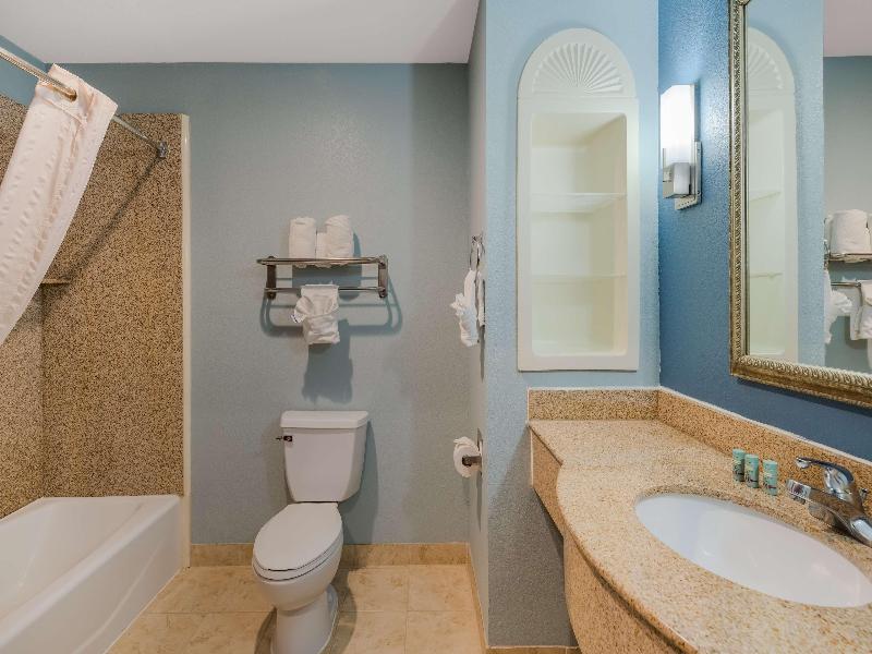 Best Western South Plains Inn & Suites image
