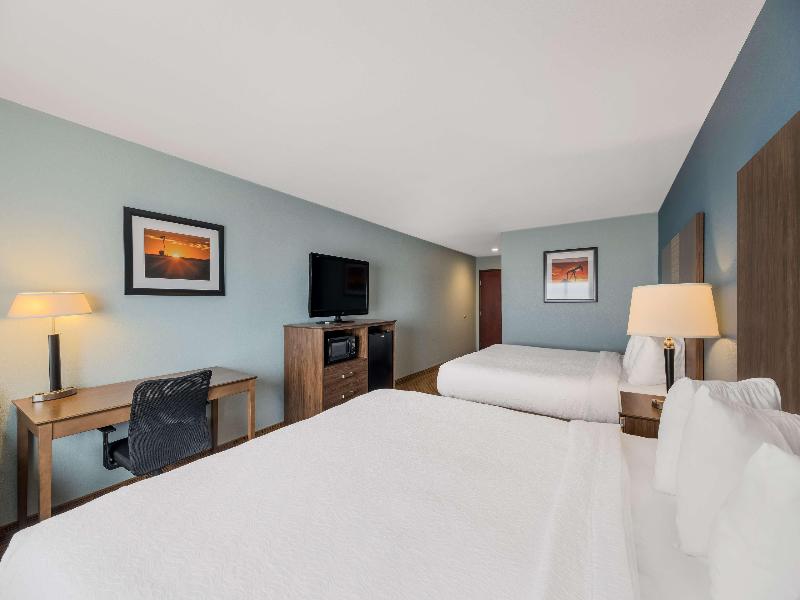 Best Western South Plains Inn & Suites image