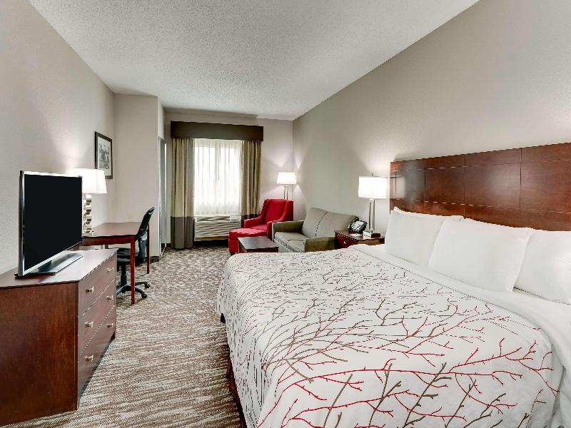 Best Western Plus University Inn & Suites image