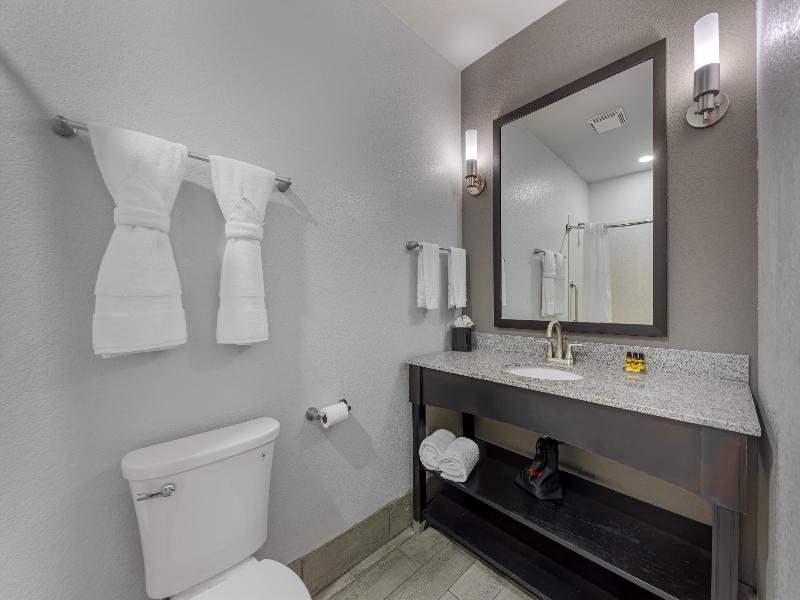 Best Western Plus Austin Airport Inn & Suites image
