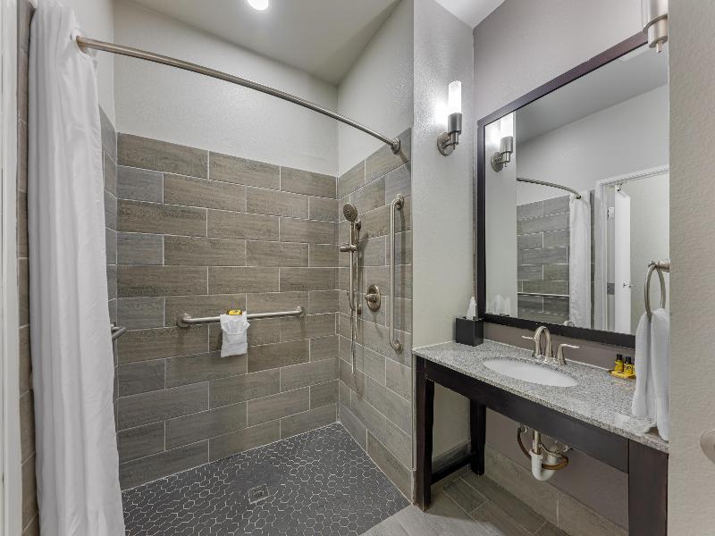Best Western Plus Austin Airport Inn & Suites image