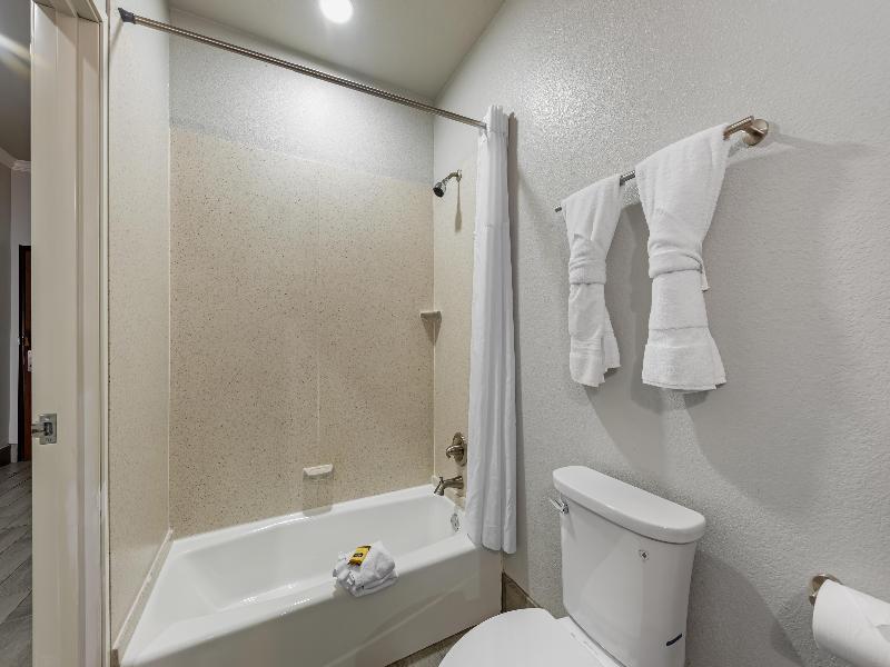 Best Western Plus Austin Airport Inn & Suites image