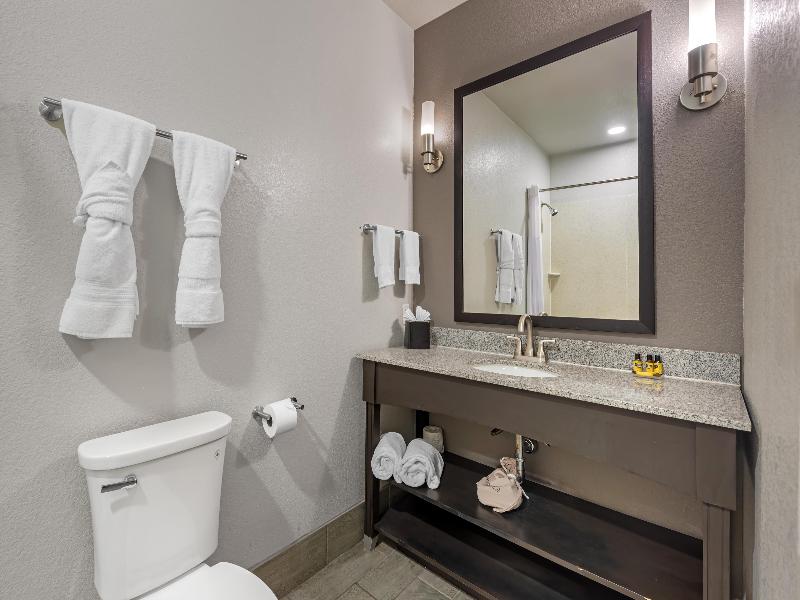 Best Western Plus Austin Airport Inn & Suites image