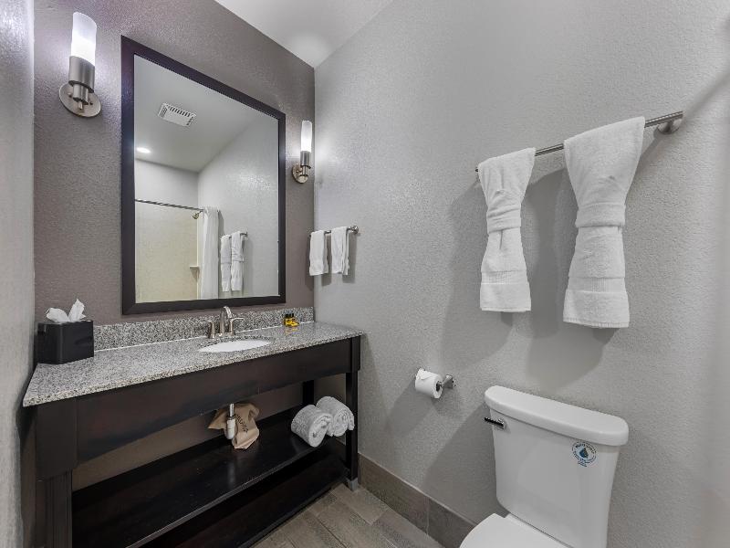 Best Western Plus Austin Airport Inn & Suites image