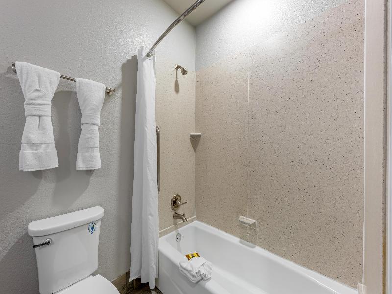 Best Western Plus Austin Airport Inn & Suites image