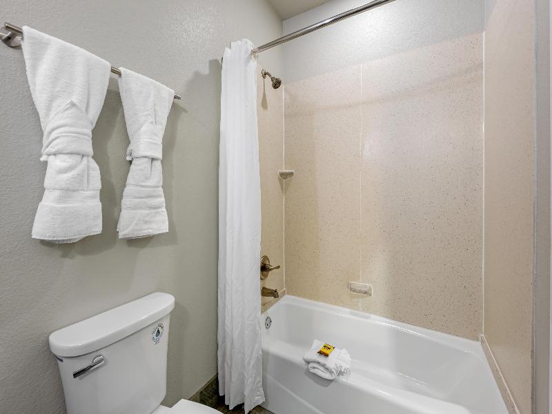 Best Western Plus Austin Airport Inn & Suites image
