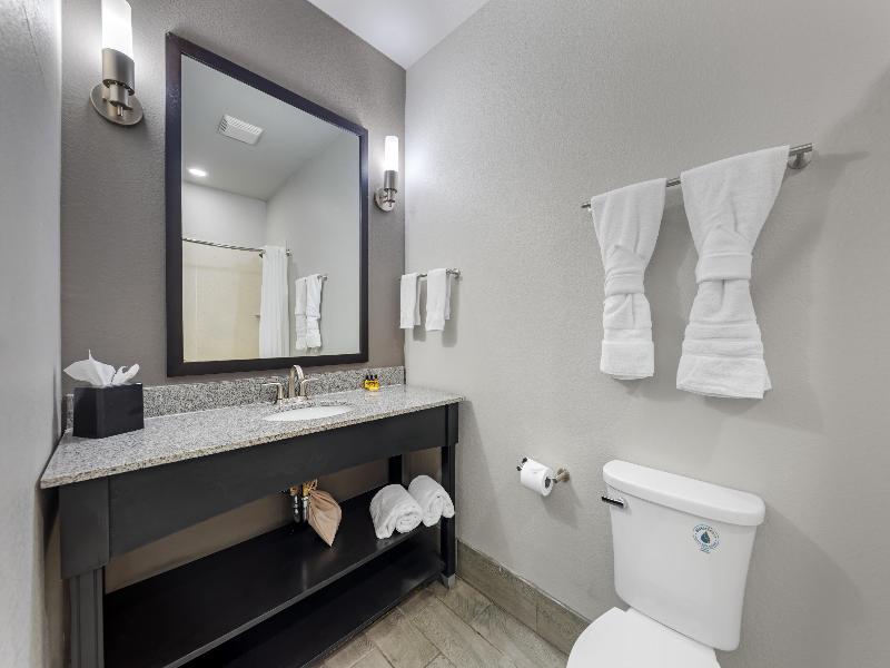 Best Western Plus Austin Airport Inn & Suites image