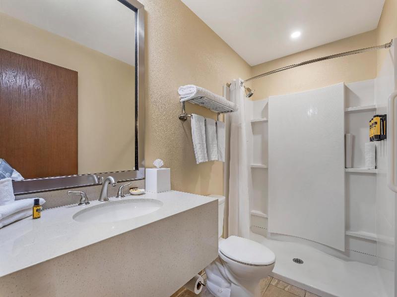 Best Western Plus Plaza by the Green image