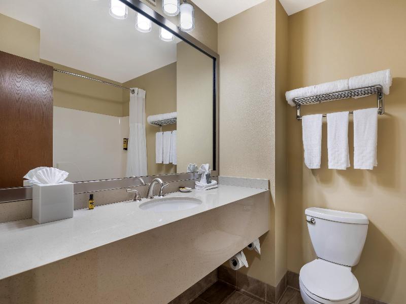Best Western Plus Plaza by the Green image