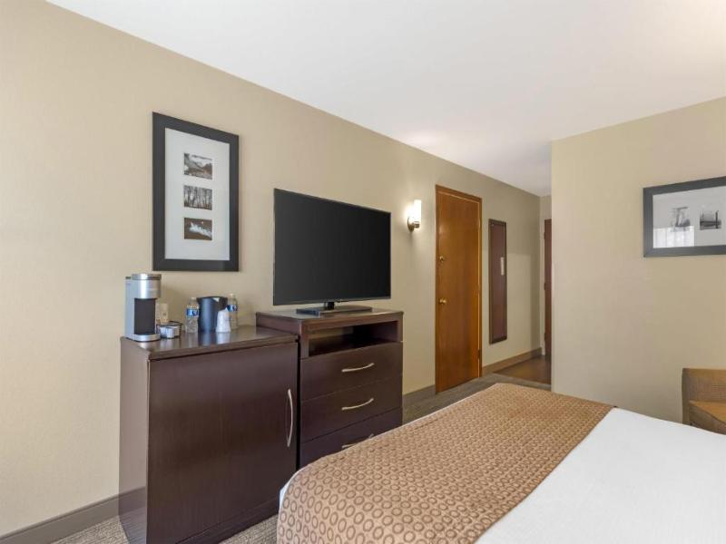 Best Western Plus Plaza by the Green image