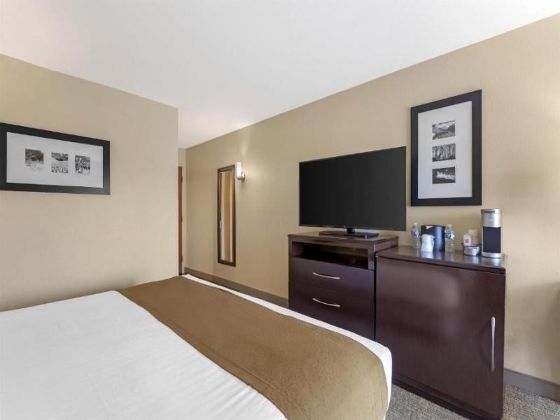 Best Western Plus Plaza by the Green image