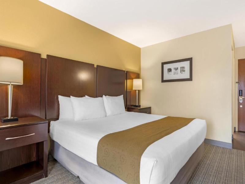 Best Western Plus Plaza by the Green image