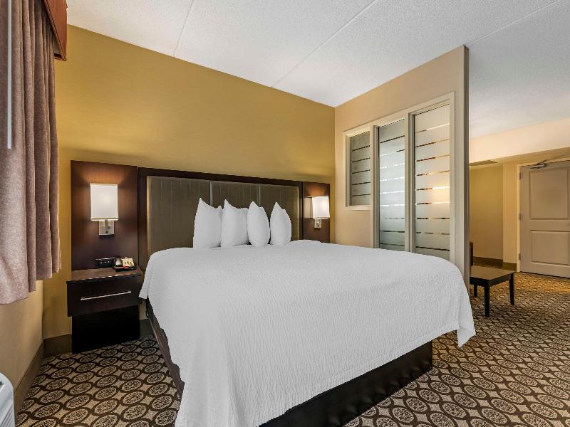 Best Western Plus Inntowner Madison image