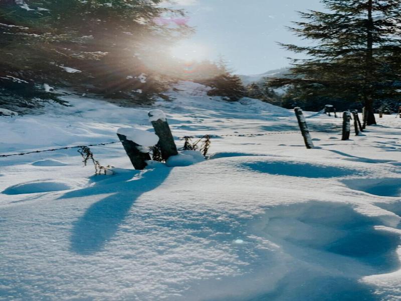 Gasthof Skirast image