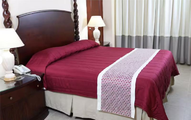 Ramada by Wyndham Princess Santo Domingo image