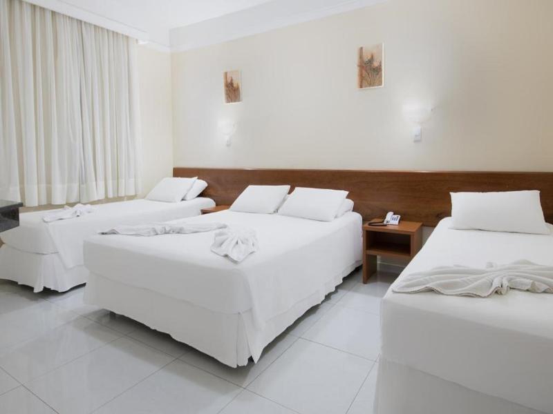 Hotel Dan Inn Express Foz do Iguacu image