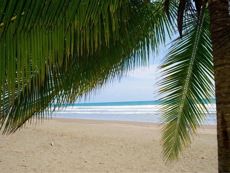 Cocomar Residences & Beachfront Resort