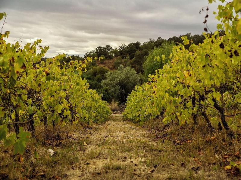 Horta da Moura by WOT Signature image