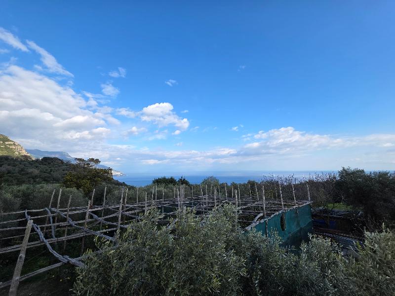 Agriturismo Piccolo Paradiso image