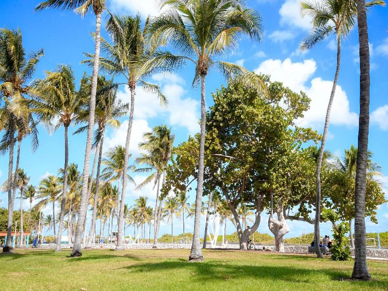 Ithaca of South Beach image
