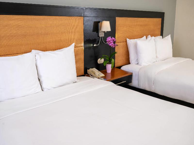 Radisson Santo Domingo image