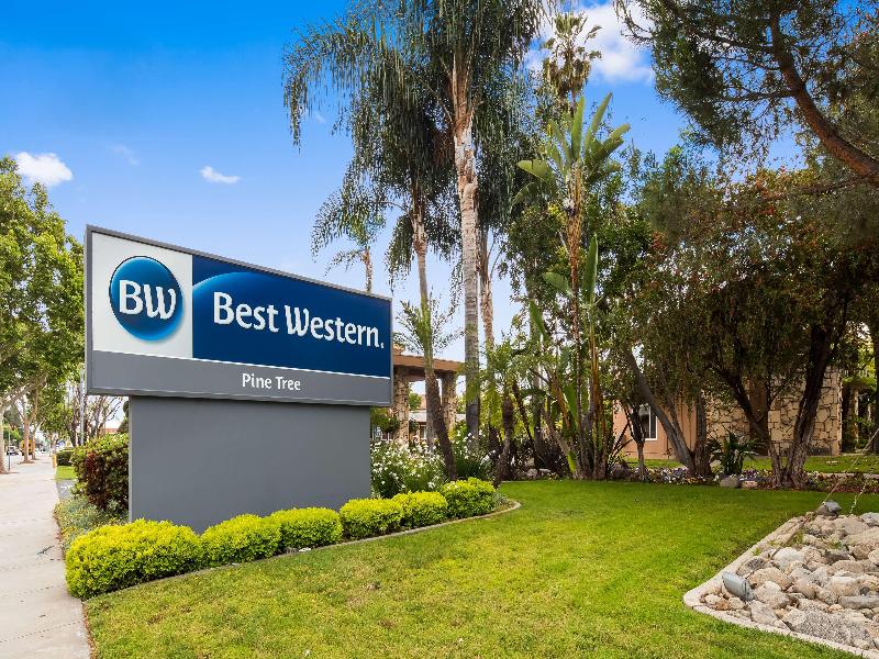 Best Western Pine Tree Motel image
