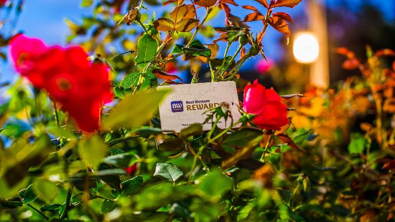 Best Western Plus River Escape Inn & Suites image