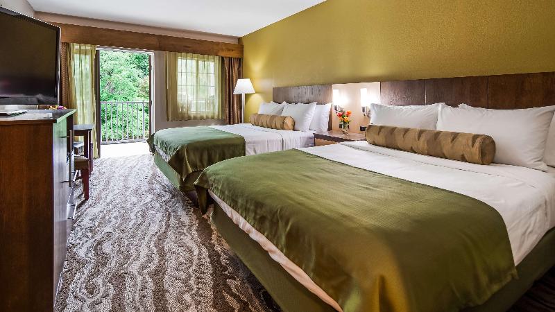 Best Western Plus River Escape Inn & Suites image