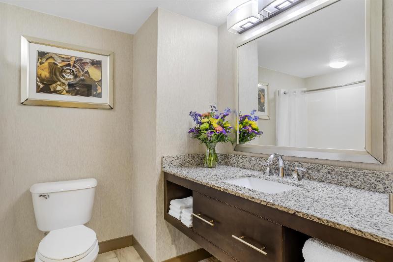 Best Western Plus River Escape Inn & Suites image