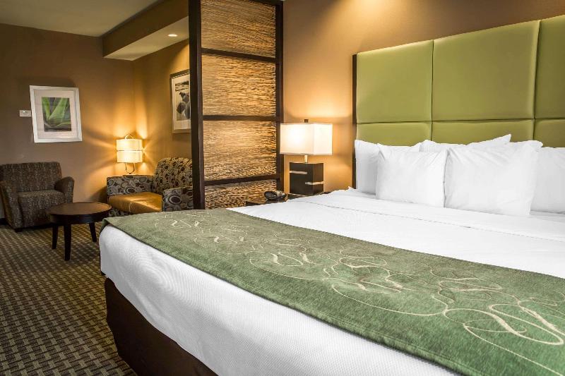 Comfort Suites New Bern near Cherry Point image