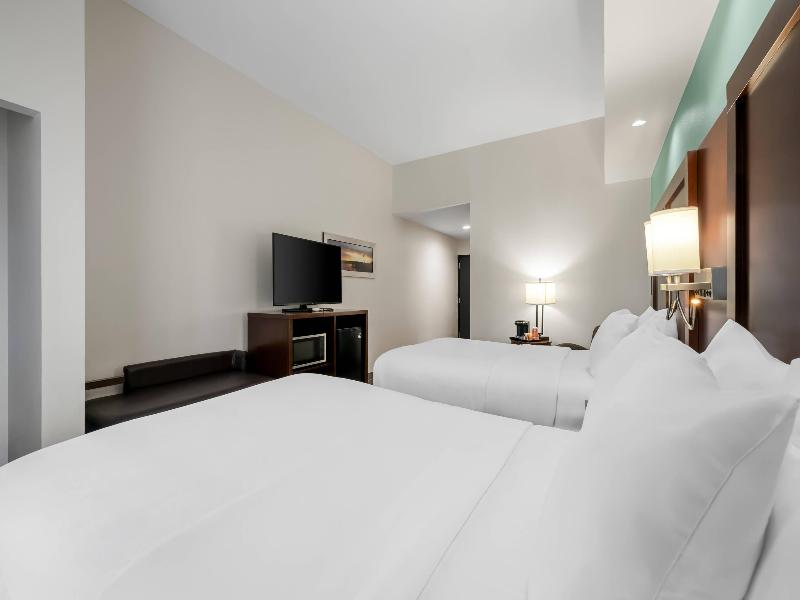 SUITE Accessible Two Double beds — photo 6