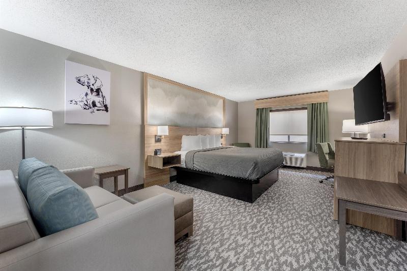Best Western Plus Executive Inn image 9