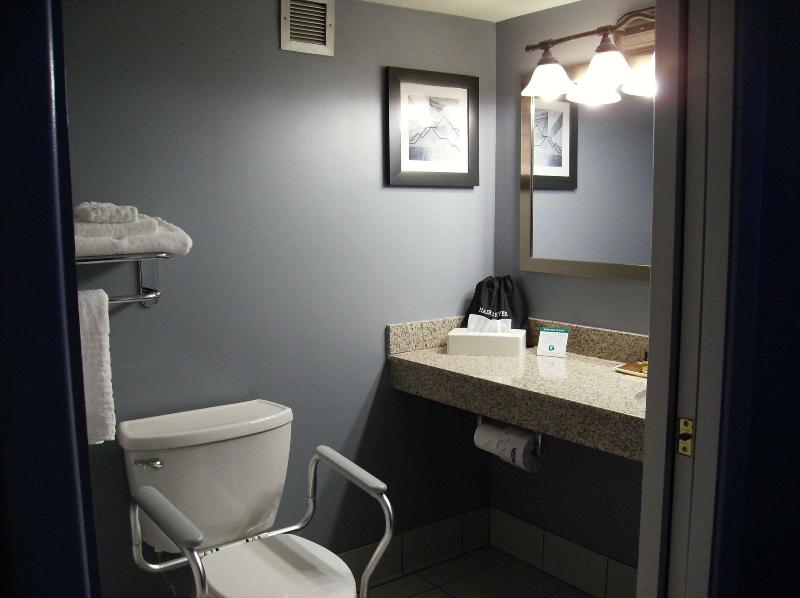 Best Western Plus Bradford Inn image
