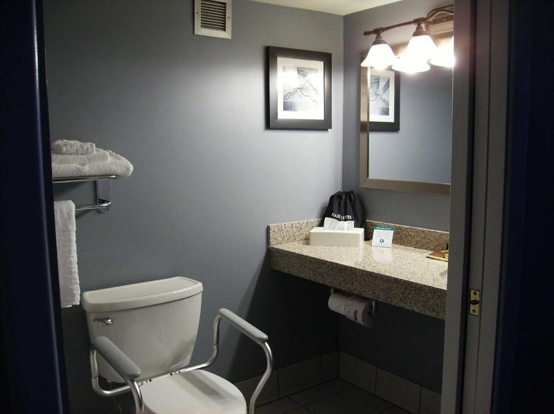 Best Western Plus Bradford Inn image