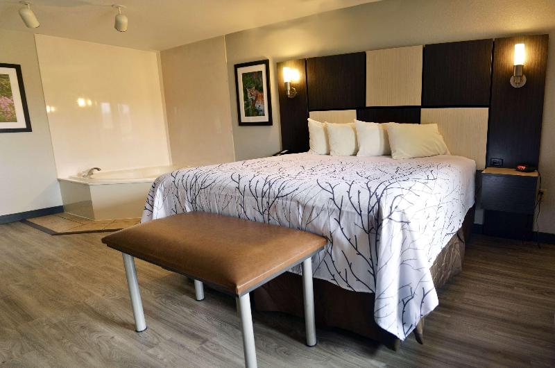 Best Western Cades Cove Inn image