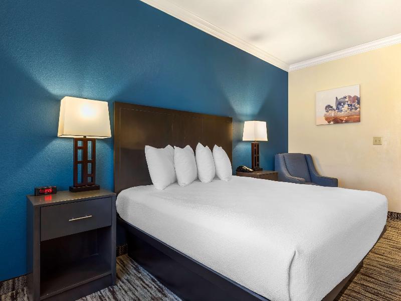 Best Western Dinosaur Valley Inn & Suites image