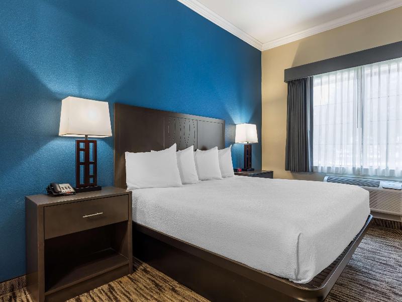 Best Western Dinosaur Valley Inn & Suites image