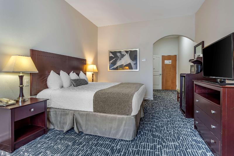 Best Western Sugarland Inn image