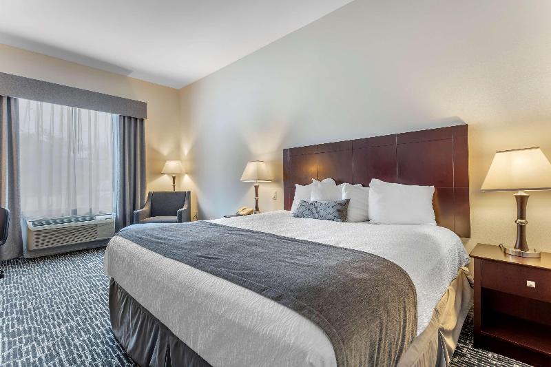 Best Western Sugarland Inn image