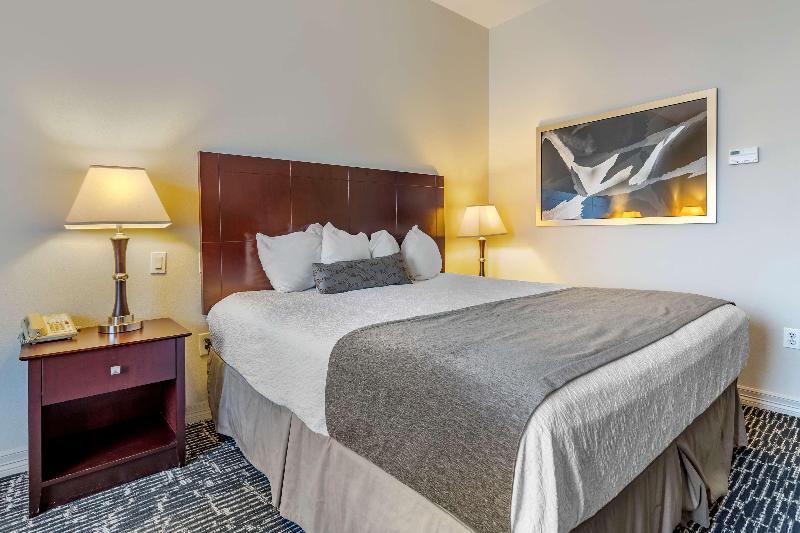 Best Western Sugarland Inn image