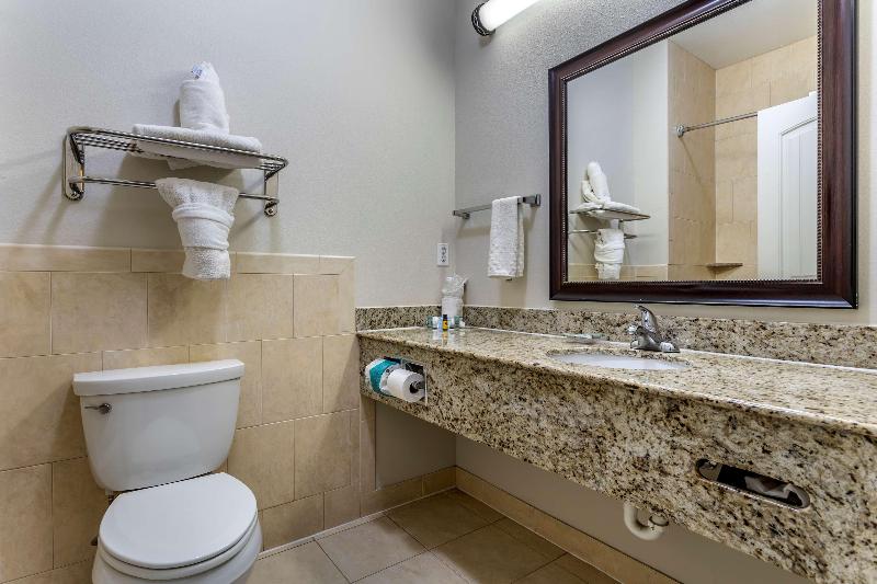 Best Western Sugarland Inn image