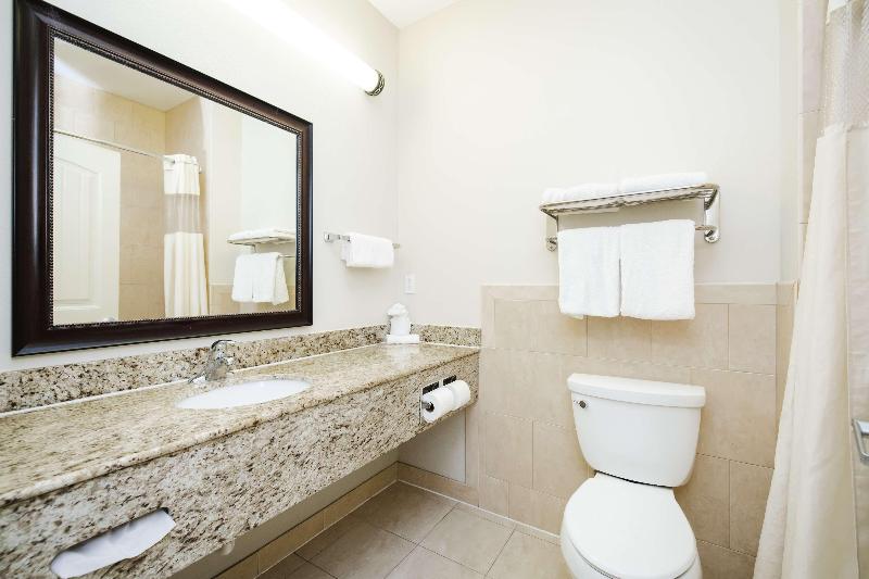 Best Western Sugarland Inn image