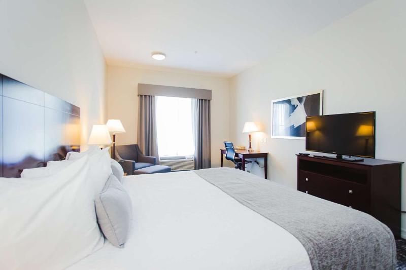Best Western Sugarland Inn image