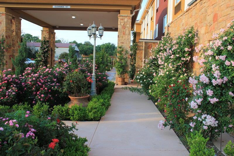 Blanco Luxury Inn & Suites image
